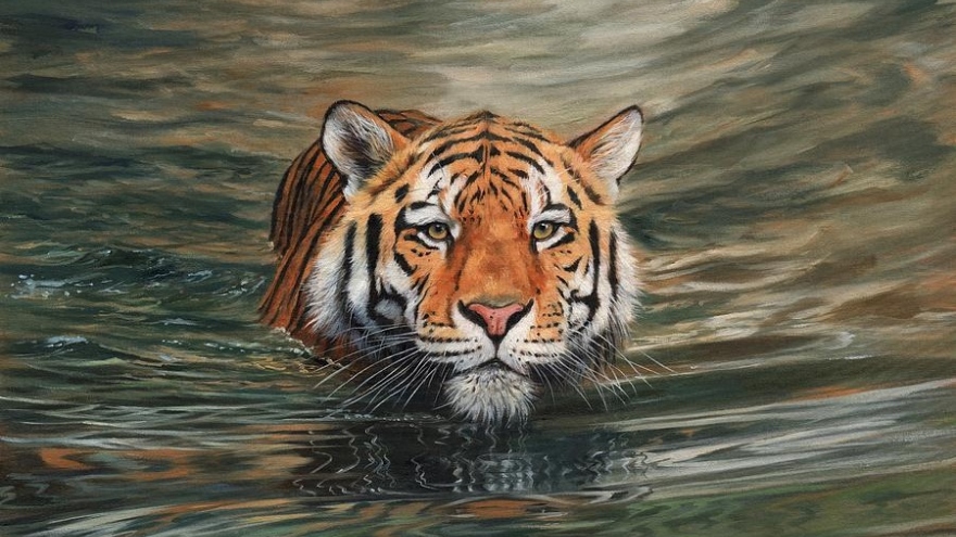 Các loài hổ tại Lào có thể đã bị tuyệt chủng